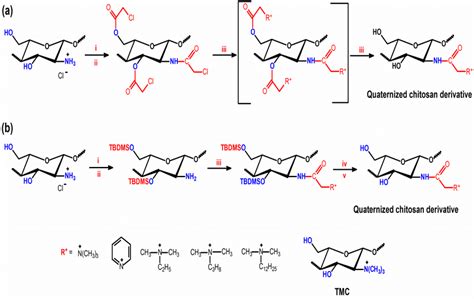  Quaternized Chitosan: Versnel de wondgenezing en ontdek een wereld van biocompatibiliteit!